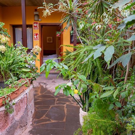 La Asomada Del Gato Guest House La Laguna  Ngoại thất bức ảnh