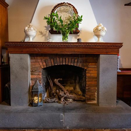 La Asomada Del Gato Guest House La Laguna  Ngoại thất bức ảnh