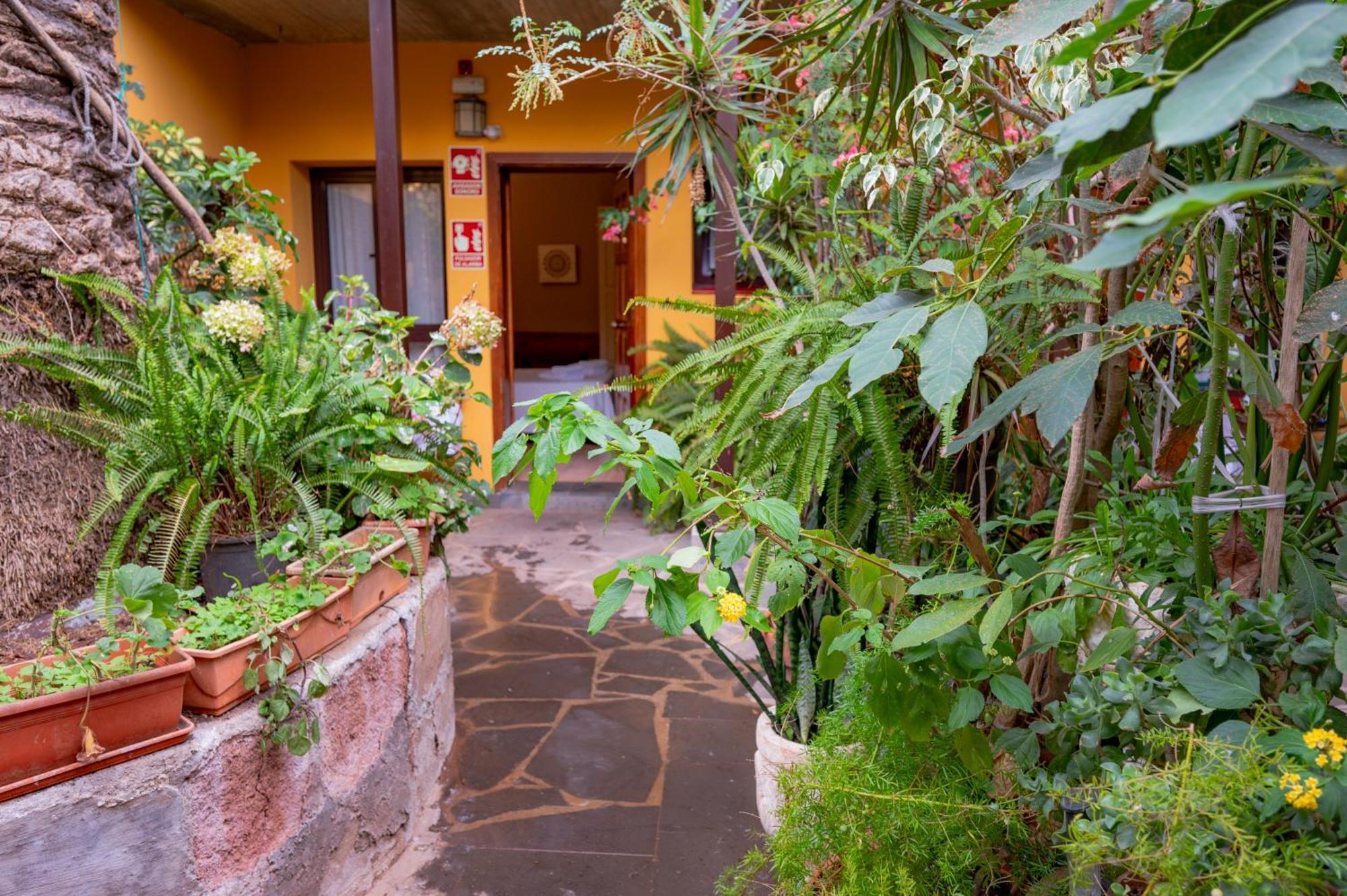 La Asomada Del Gato Guest House La Laguna  Ngoại thất bức ảnh