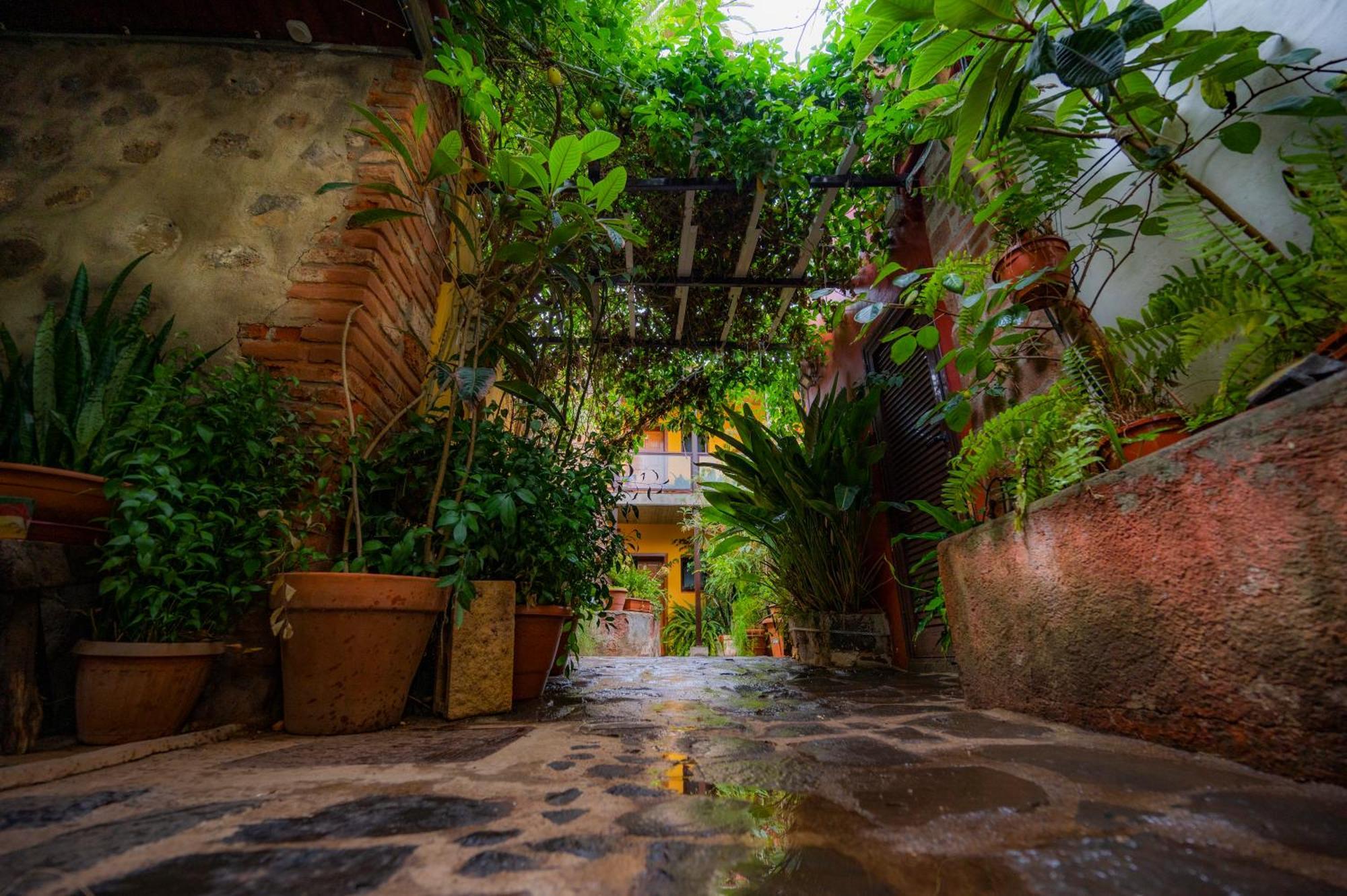 La Asomada Del Gato Guest House La Laguna  Ngoại thất bức ảnh