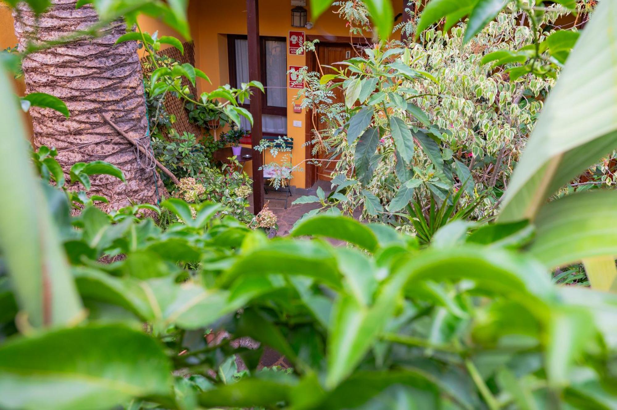 La Asomada Del Gato Guest House La Laguna  Ngoại thất bức ảnh