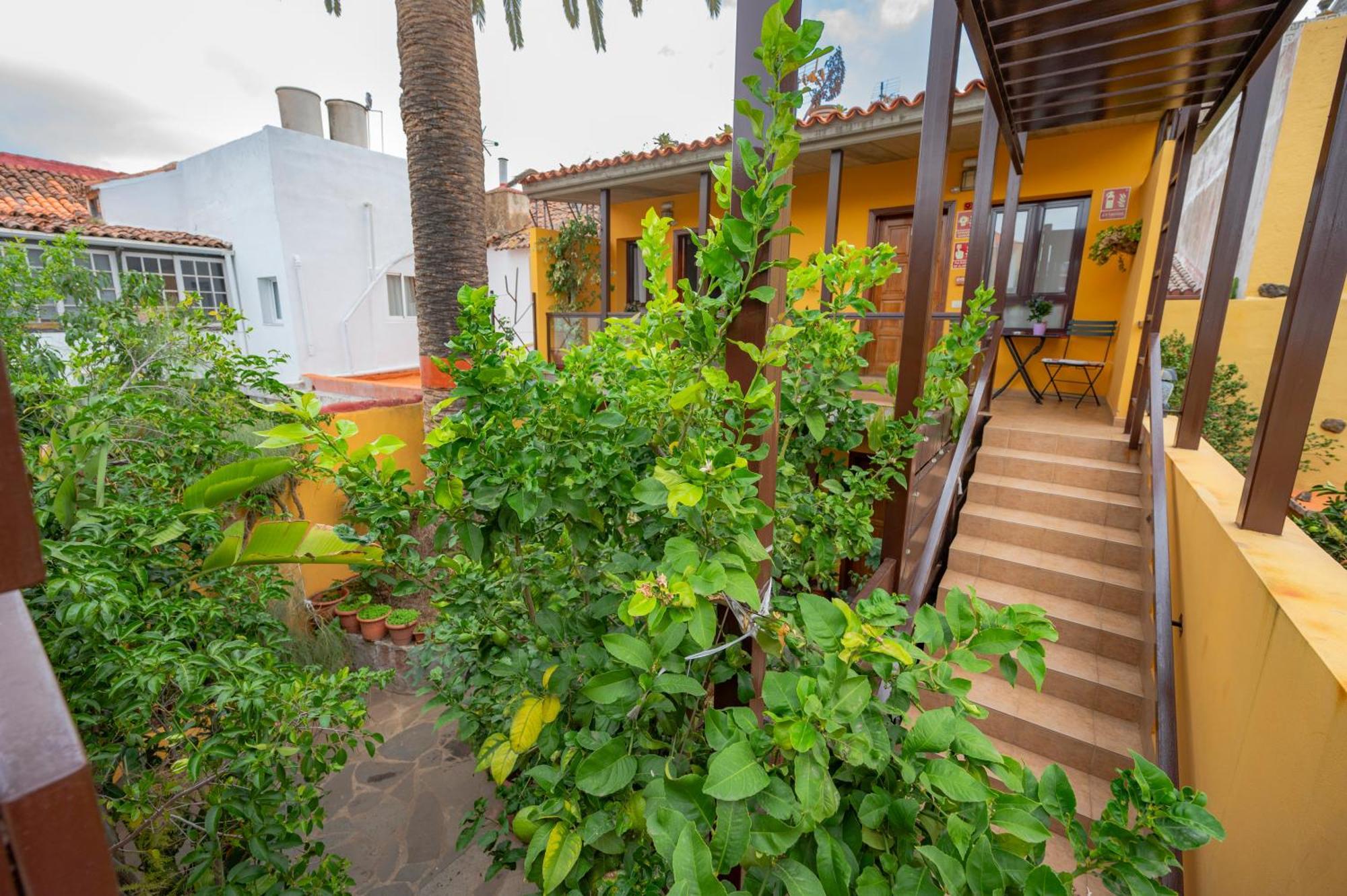 La Asomada Del Gato Guest House La Laguna  Ngoại thất bức ảnh