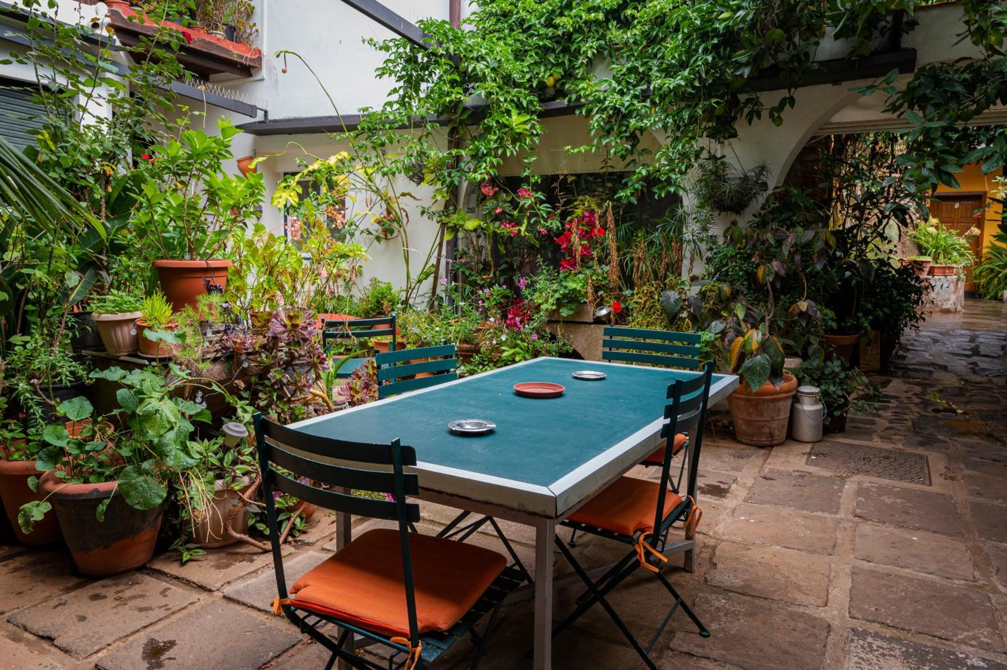 La Asomada Del Gato Guest House La Laguna  Ngoại thất bức ảnh