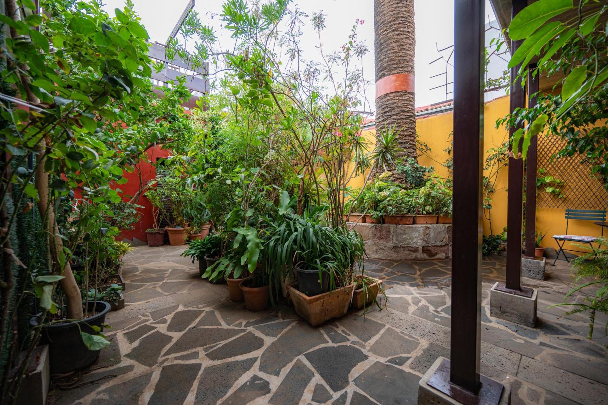 La Asomada Del Gato Guest House La Laguna  Ngoại thất bức ảnh