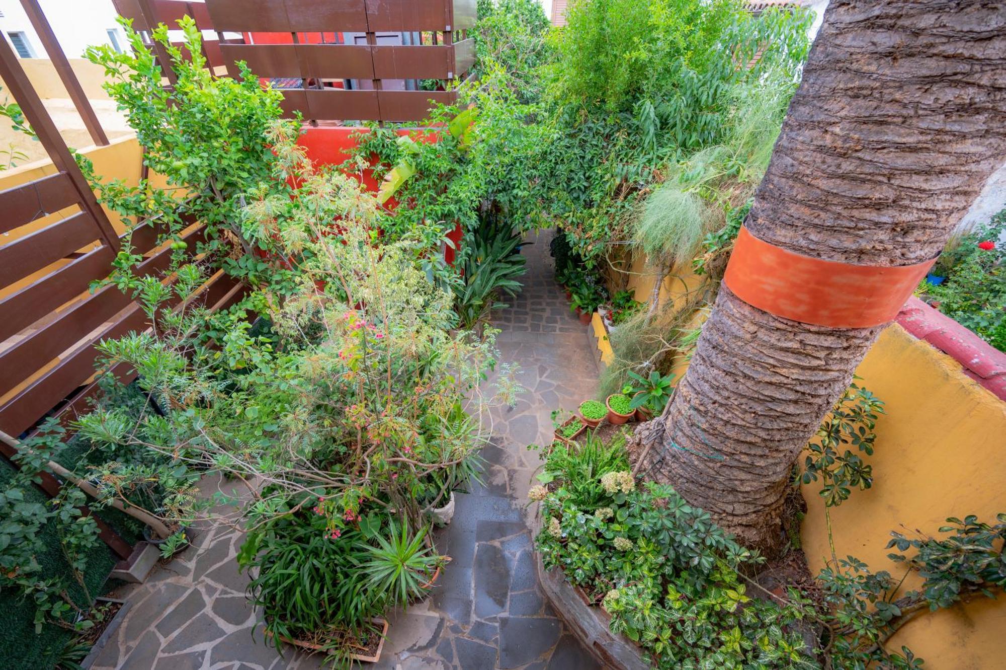 La Asomada Del Gato Guest House La Laguna  Ngoại thất bức ảnh