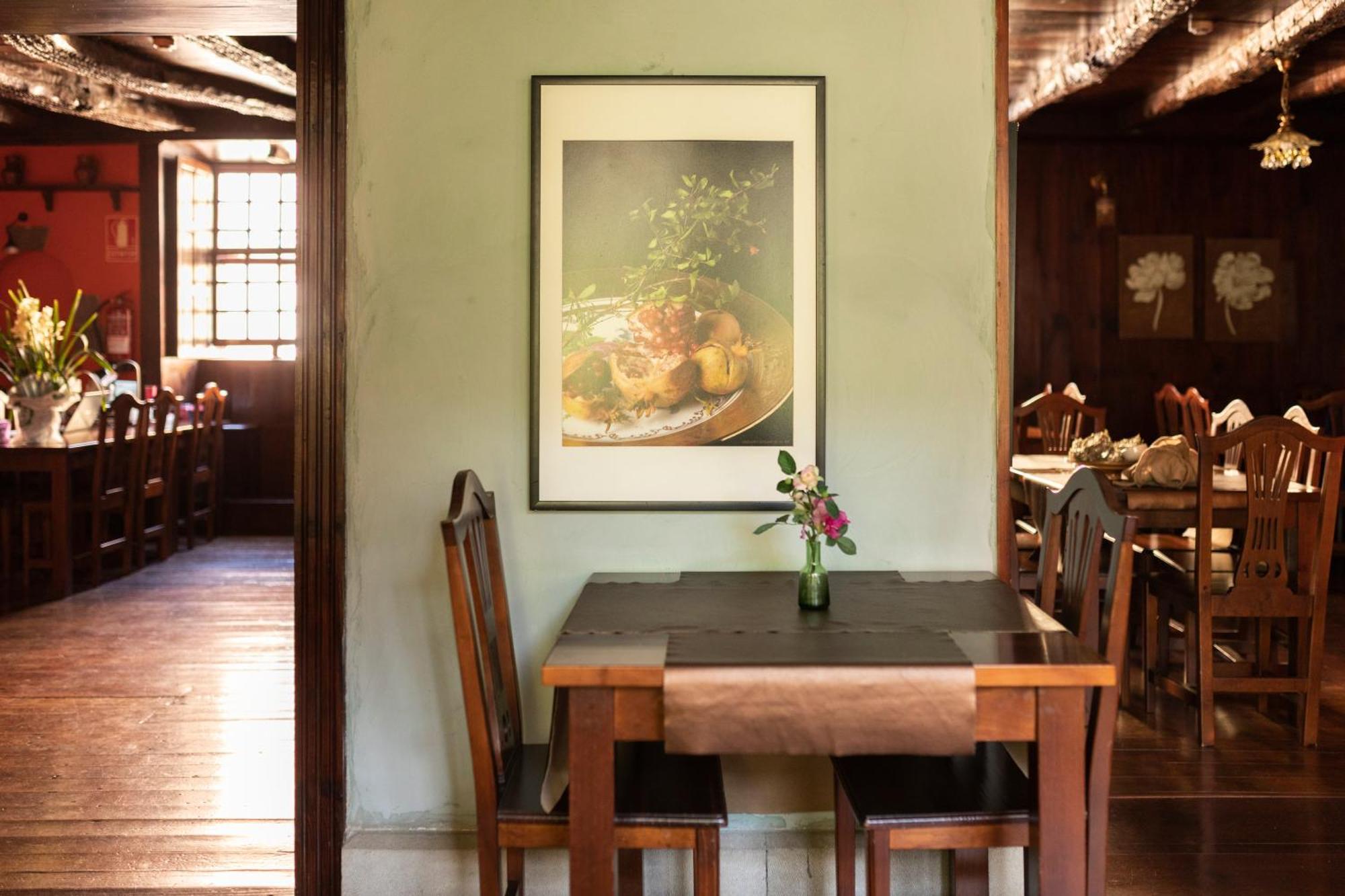 La Asomada Del Gato Guest House La Laguna  Ngoại thất bức ảnh