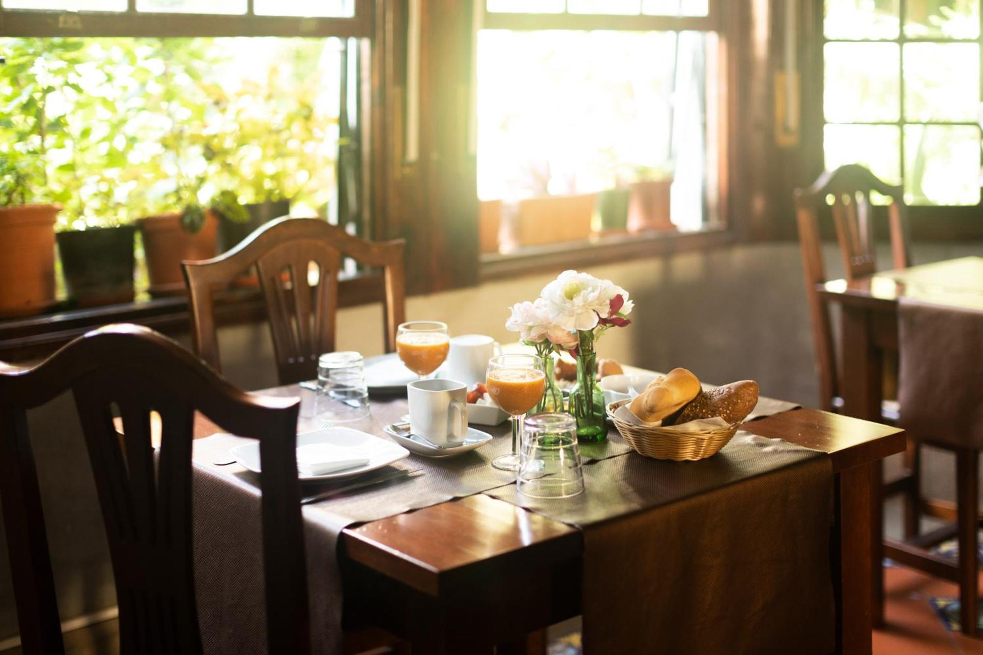La Asomada Del Gato Guest House La Laguna  Ngoại thất bức ảnh