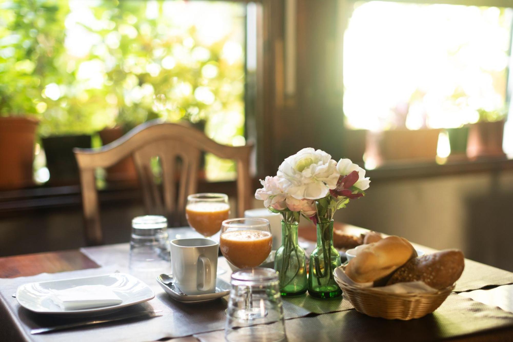 La Asomada Del Gato Guest House La Laguna  Ngoại thất bức ảnh