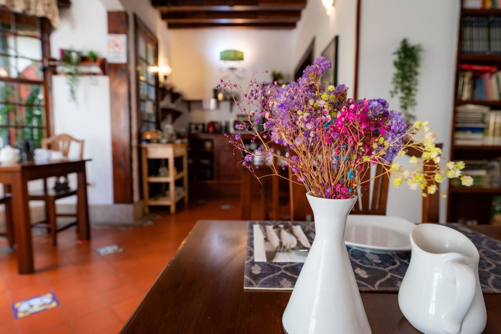 La Asomada Del Gato Guest House La Laguna  Ngoại thất bức ảnh