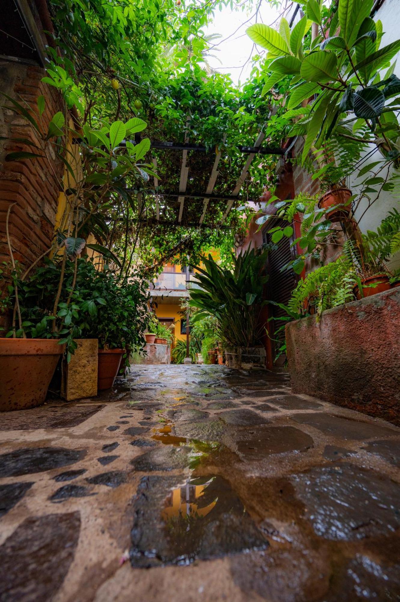 La Asomada Del Gato Guest House La Laguna  Ngoại thất bức ảnh