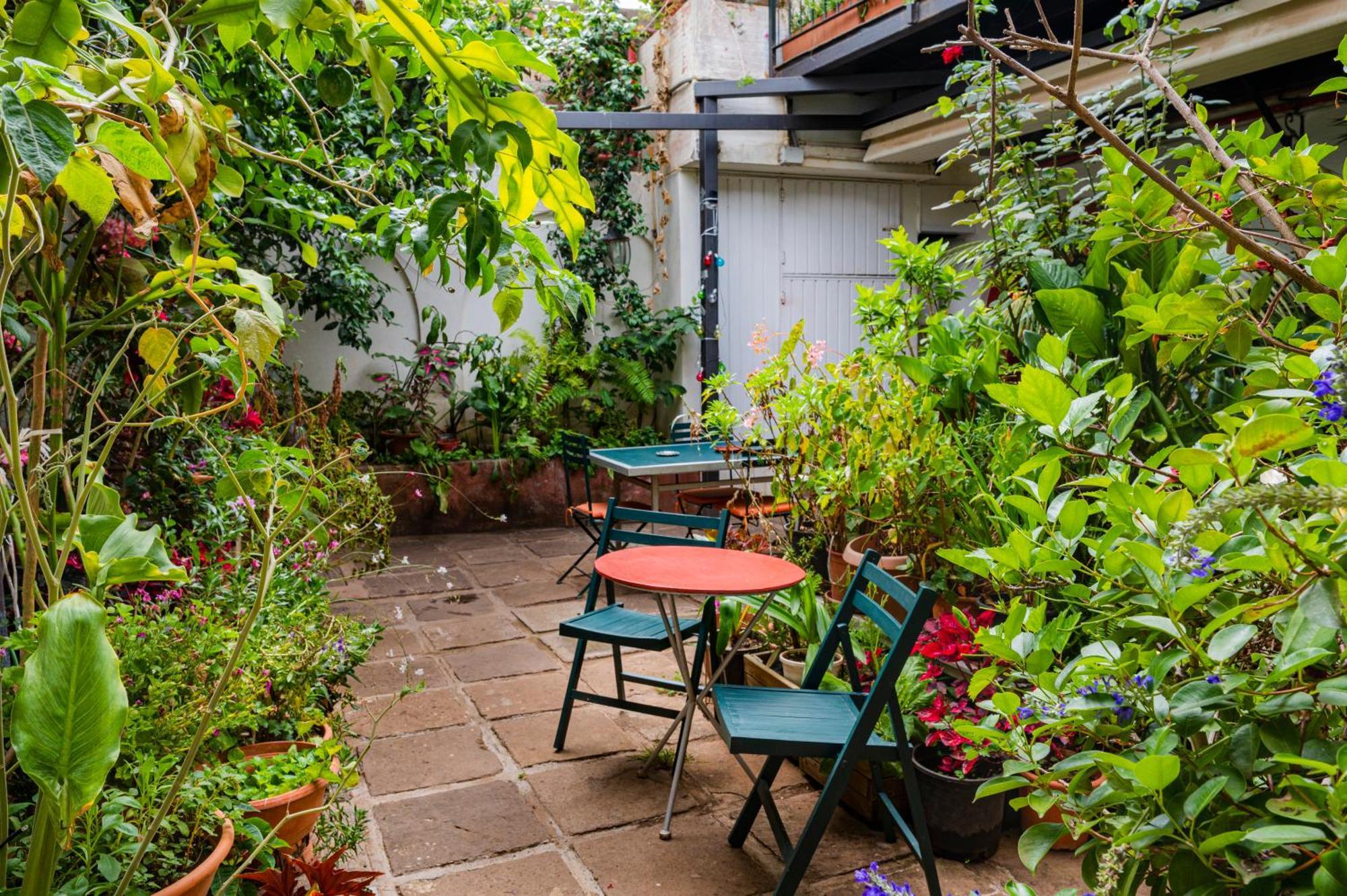 La Asomada Del Gato Guest House La Laguna  Ngoại thất bức ảnh