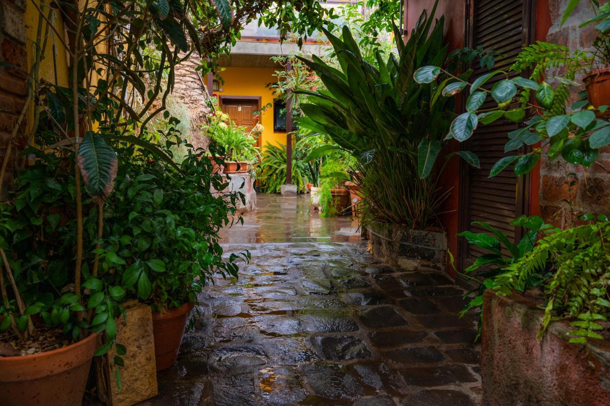 La Asomada Del Gato Guest House La Laguna  Ngoại thất bức ảnh