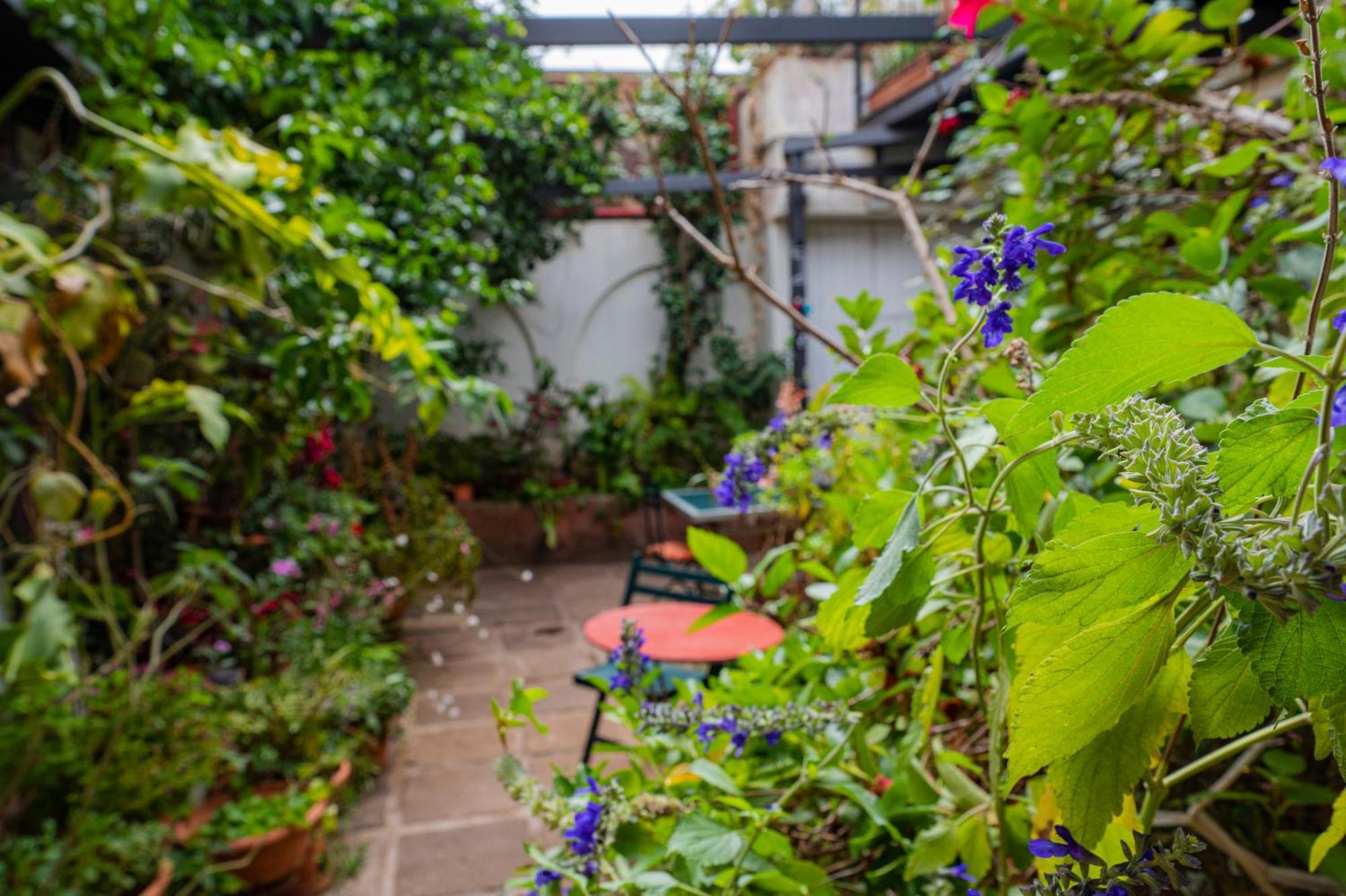 La Asomada Del Gato Guest House La Laguna  Ngoại thất bức ảnh