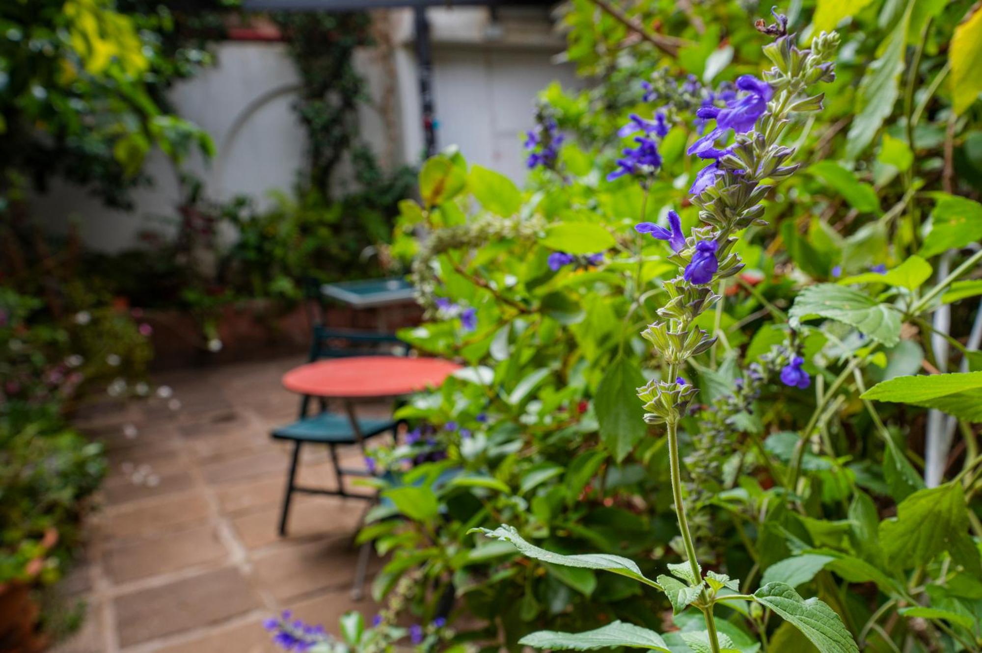 La Asomada Del Gato Guest House La Laguna  Ngoại thất bức ảnh
