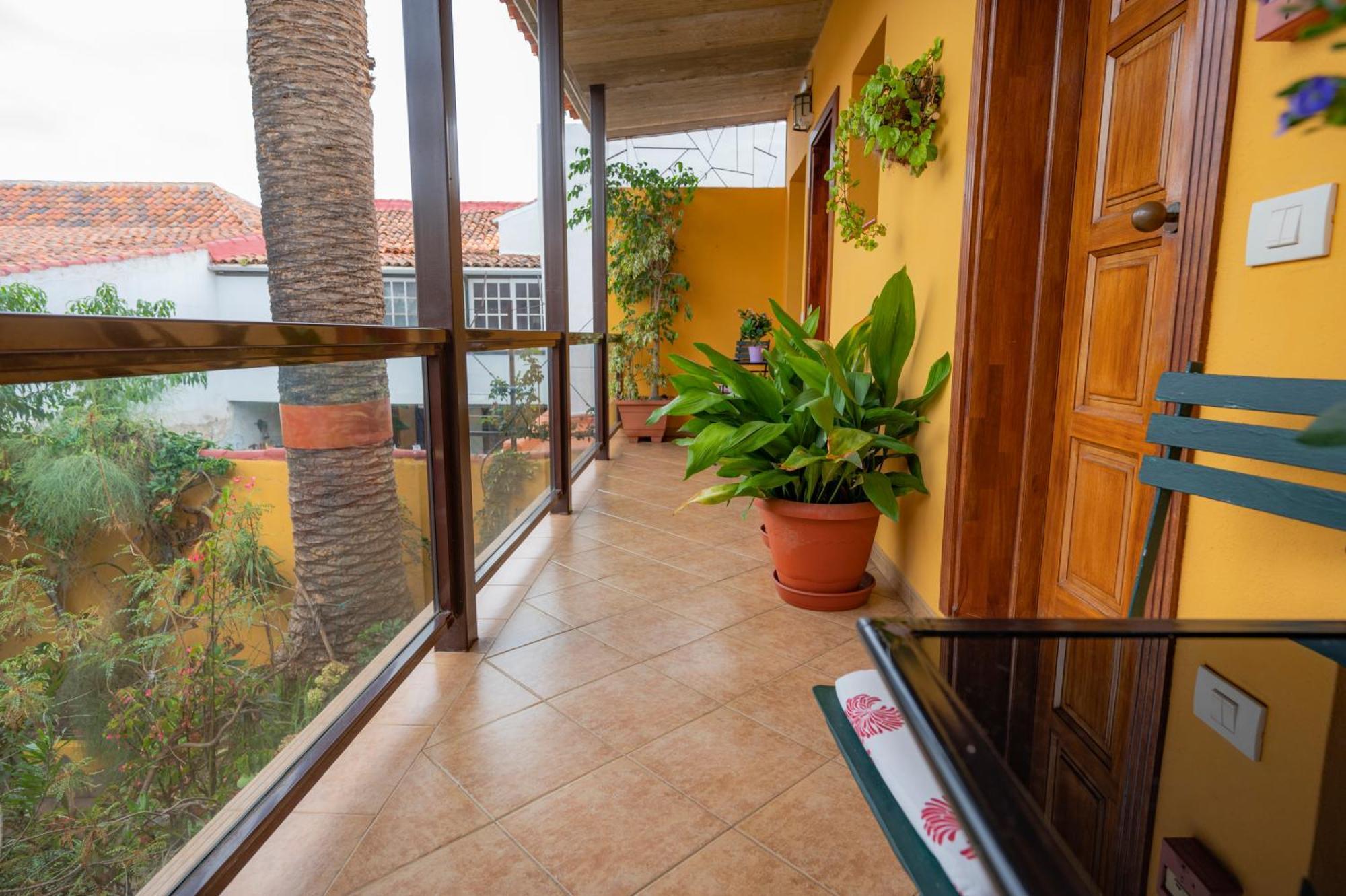 La Asomada Del Gato Guest House La Laguna  Ngoại thất bức ảnh