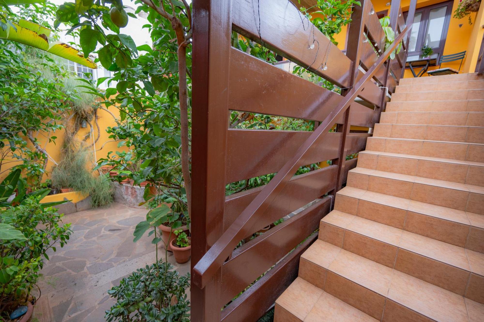 La Asomada Del Gato Guest House La Laguna  Ngoại thất bức ảnh